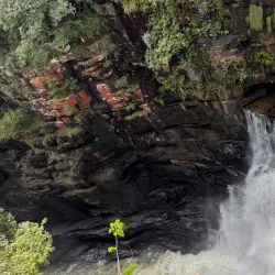 Kinkon Waterfall - Tougue