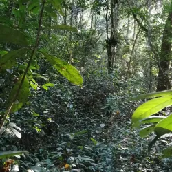 Nearby Nature Reserves - Tougue