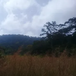 Nearby Nature Reserves - Tougue