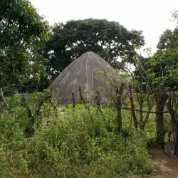 Tougué Market - Tougue