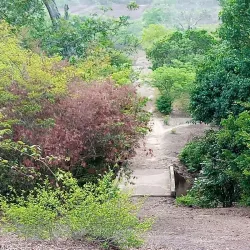 Tougué Market - Tougue
