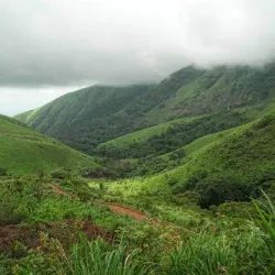 Mount Nimba Strict Nature Reserve - Yomou