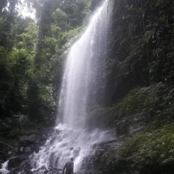 Mount Nimba Strict Nature Reserve - Yomou