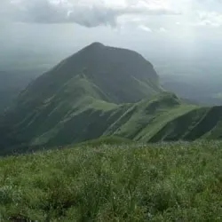 Mount Nimba Strict Nature Reserve - Yomou