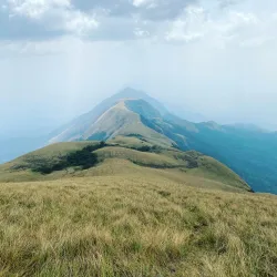 Mount Nimba Strict Nature Reserve - Yomou