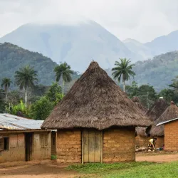 Mount Nimba Strict Nature Reserve - Yomou