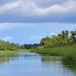 Canje Creek - Blairmont