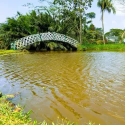 Guyana Botanical Gardens - Enterprise