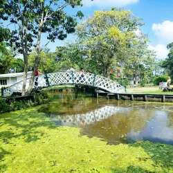 Botanical Gardens - Georgetown