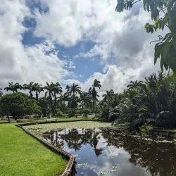Botanical Gardens - Georgetown