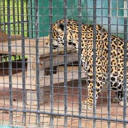 Botanical Gardens - Georgetown