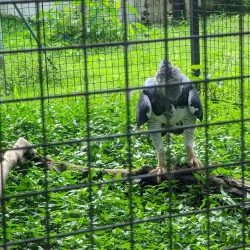 Botanical Gardens - Georgetown