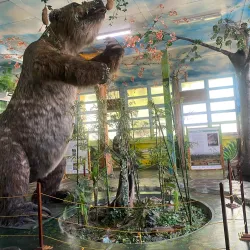 Guyana National Museum - Georgetown