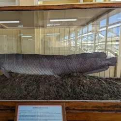 Guyana National Museum - Georgetown