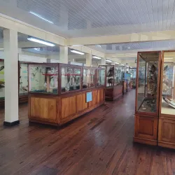 Guyana National Museum - Georgetown