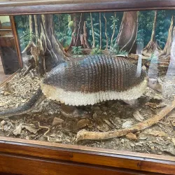 Guyana National Museum - Georgetown