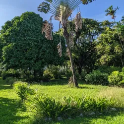Promenade Gardens - Georgetown