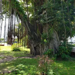 Promenade Gardens - Georgetown