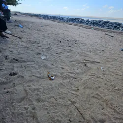 Seawall and Promenade - Georgetown