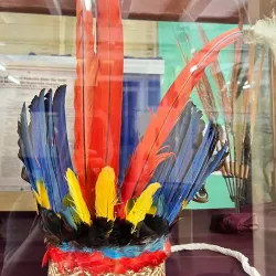 Walter Roth Museum of Anthropology - Georgetown