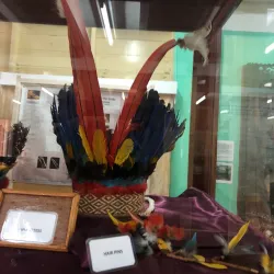 Walter Roth Museum of Anthropology - Georgetown