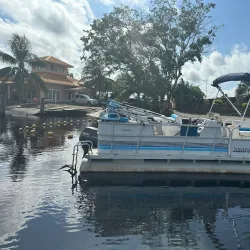 Bird Watching Tours - Ituni