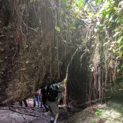 Kaieteur National Park (Day Trip) - Ituni
