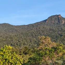 Kanuku Mountains (Nearby) - Ituni