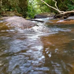 Kanuku Mountains (Nearby) - Ituni