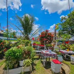 Mining Museum (Georgetown) - Ituni