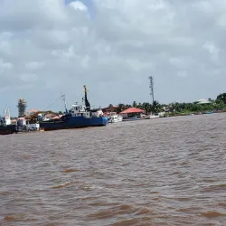 Essequibo River - Kalkuni