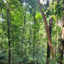 Nature Trails and Bird Watching - Kalkuni