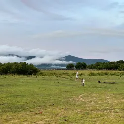 Nearby Rupununi Savannahs - Kalkuni