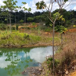 Upper Takutu-Upper Essequibo Rainforest - Kalkuni