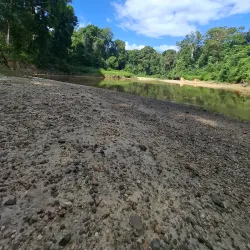 Barima River - Kumaka