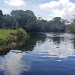 Bird Watching Tours - LaGrange