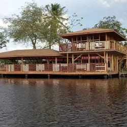 Bird Watching Tours - LaGrange