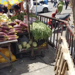 Local Markets and Craft Shops - LaGrange