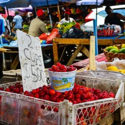 Local Markets and Craft Shops - LaGrange