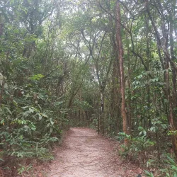 Waini Falls - LaGrange