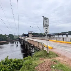 Wismar Market - Linden