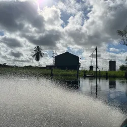 Canje River - New Amsterdam