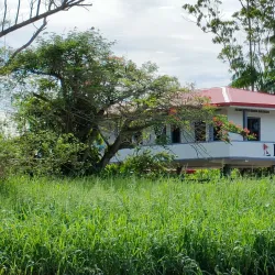 Canje River - New Amsterdam