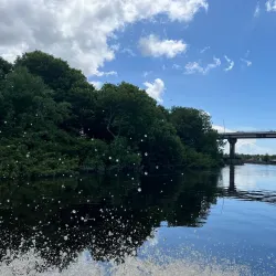 Canje River - New Amsterdam