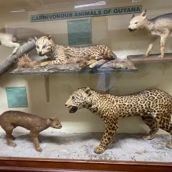 Guyana National Museum - New Amsterdam