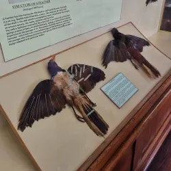 Guyana National Museum - New Amsterdam