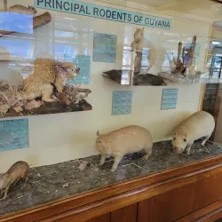 Guyana National Museum - New Amsterdam