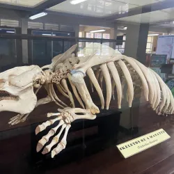 Guyana National Museum - New Amsterdam