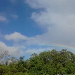 New Amsterdam Market - New Amsterdam
