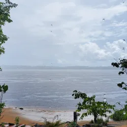 Essequibo River - Orealla